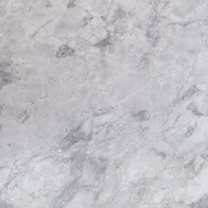 Bianco Eclipsia Quartzite